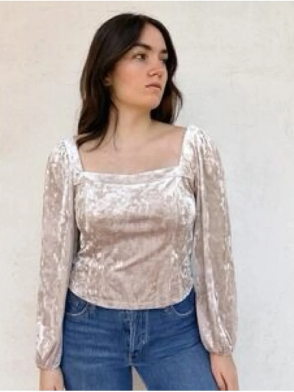Anthropologie Jessima Neutral Blush Velvet Square Neck Puff Sleeve Top L